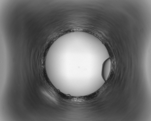 X0000087610714200704271101