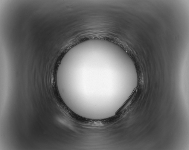 X0000087610715200704271101