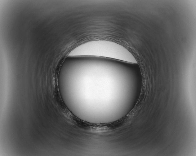 X0000087610716200704271101