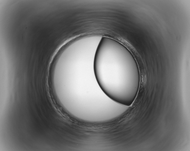 X0000087610724200704271100