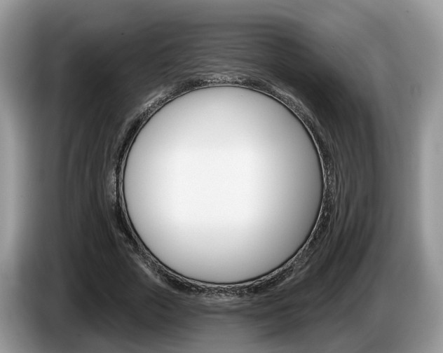 X0000087610729200704271100