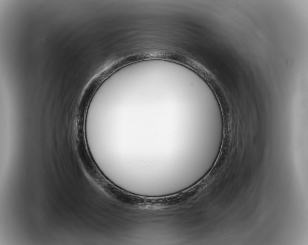 X0000087610730200704271100