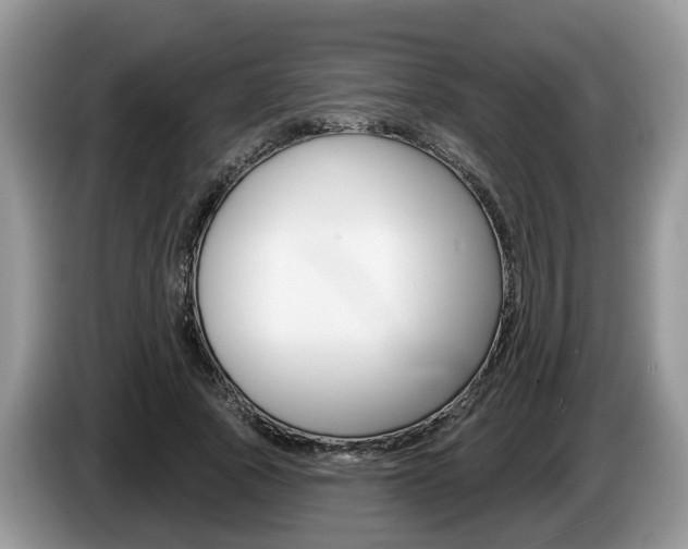 X0000087610737200704271100
