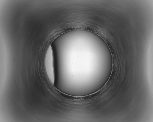 X0000087610744200704271100
