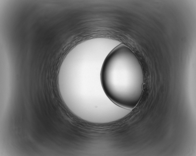 X0000087610750200704271100