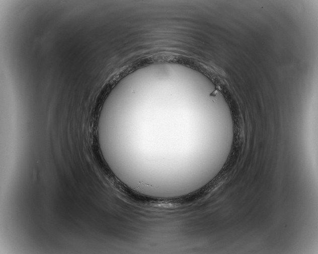 X0000087610759200704271101