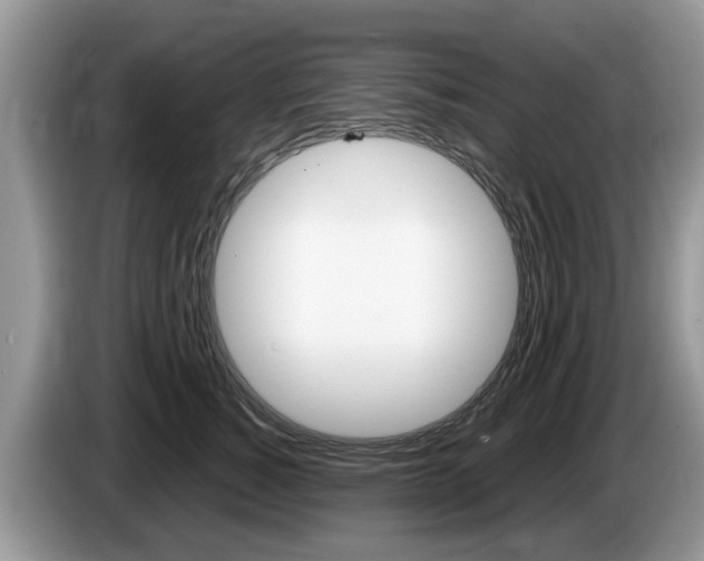X0000087610760200704271101