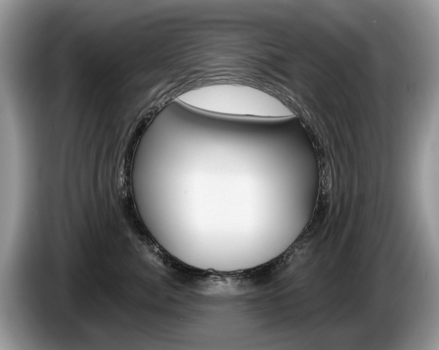 X0000087610764200704271101