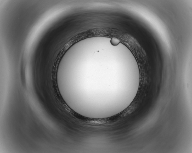 X0000087610765200704271101
