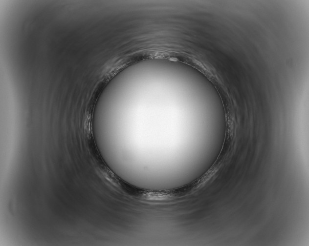 X0000087610766200704271101