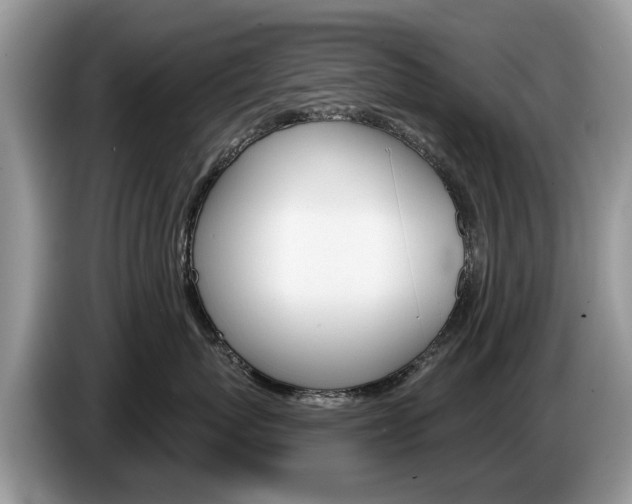 X0000087610767200704271101