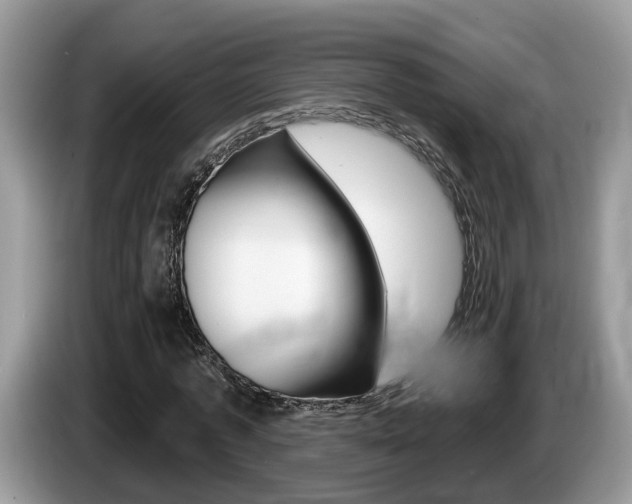 X0000087610773200704271100