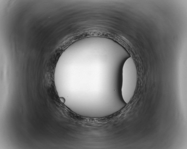 X0000087610774200704271100