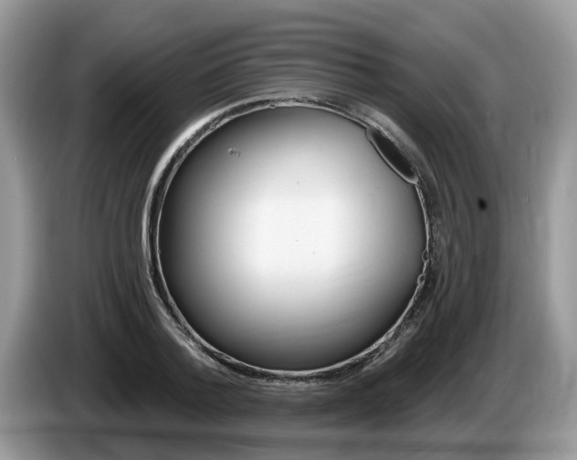 X0000087610788200704271100