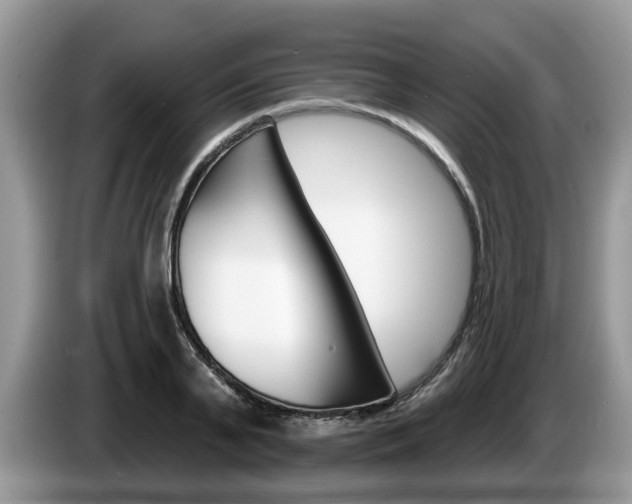 X0000087610791200704271100