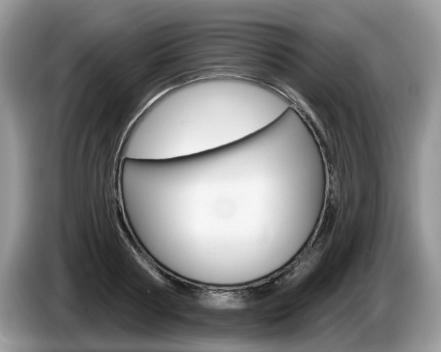 X0000087610794200704271100