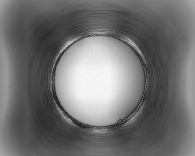 X0000087610802200704271100