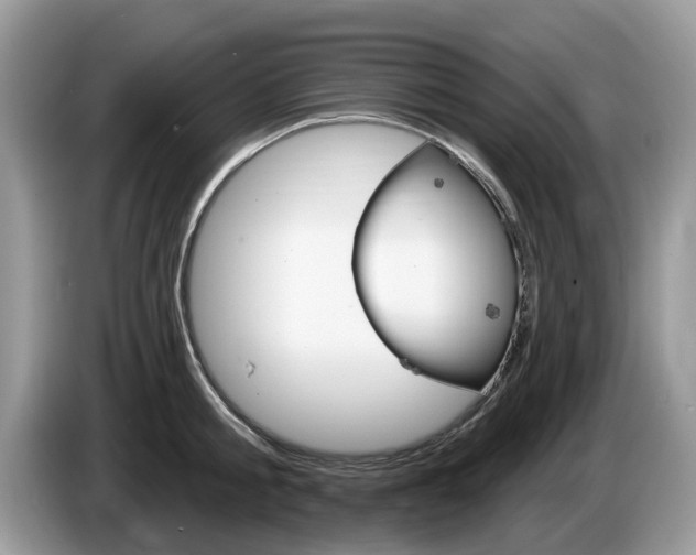 X0000087610805200704271100