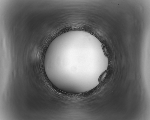 X0000087610817200704271059