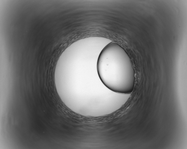 X0000087610818200704271059