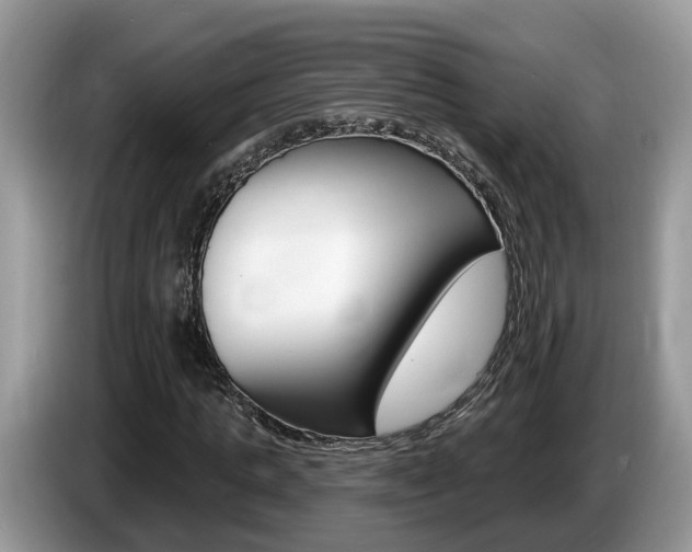 X0000087610821200704271059