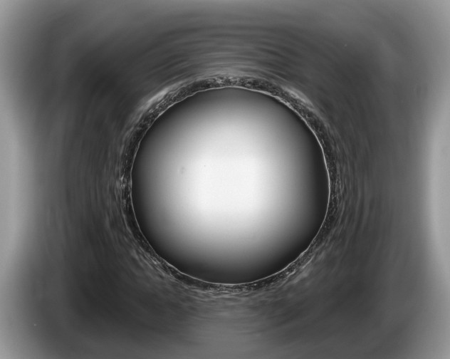 X0000087610822200704271059