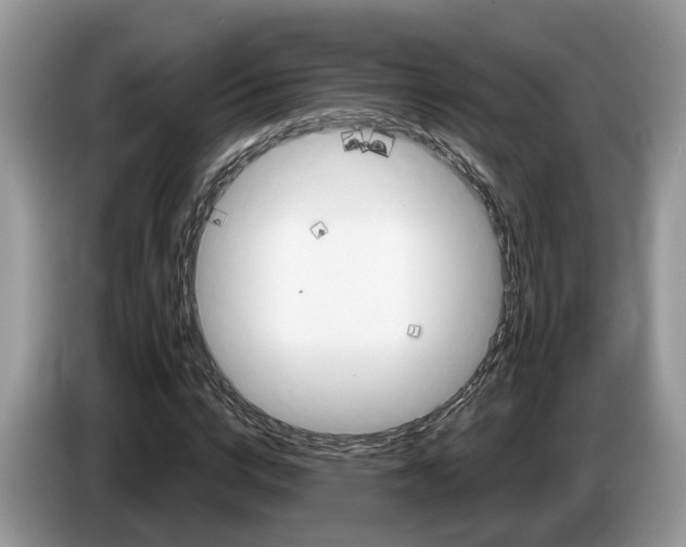 X0000087610824200704271059