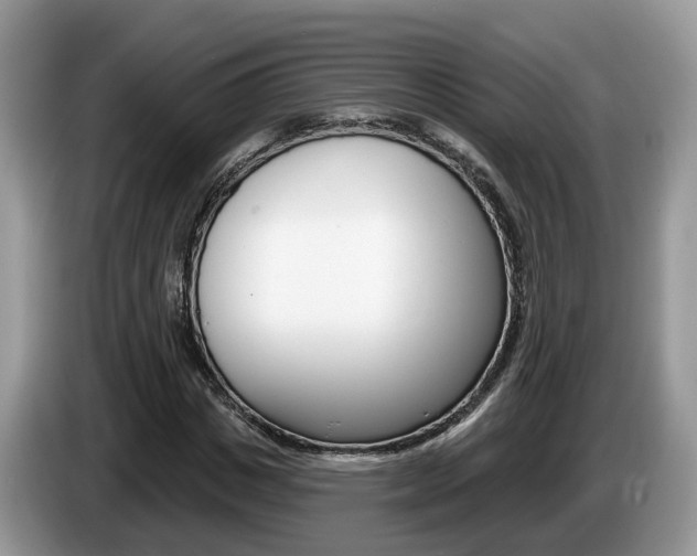 X0000087610825200704271059