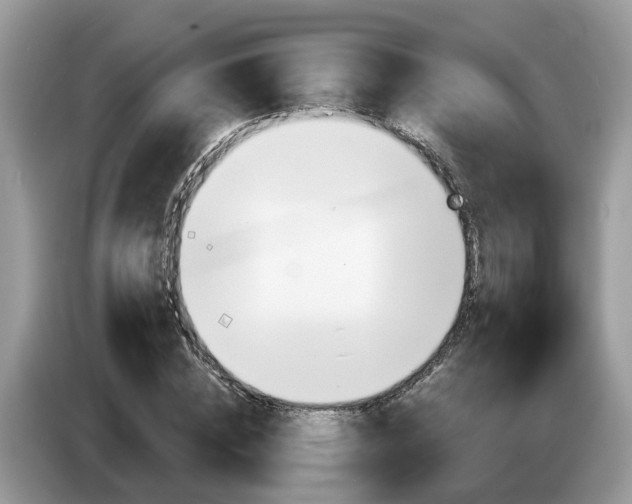 X0000087610828200704271059