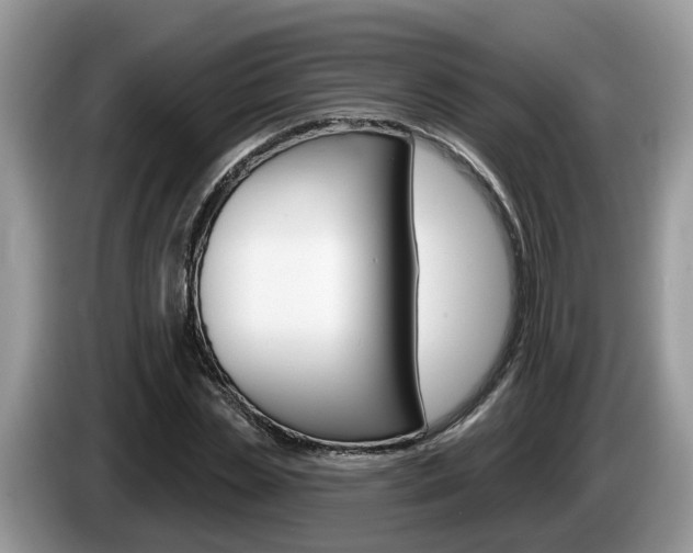 X0000087610829200704271059