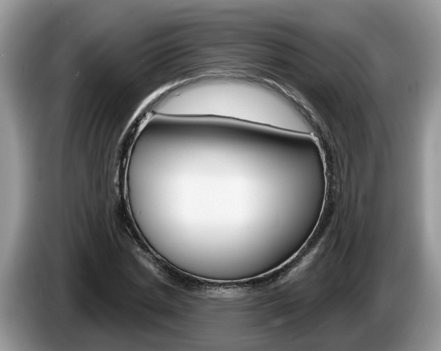 X0000087610830200704271059