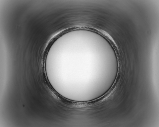X0000087610831200704271059