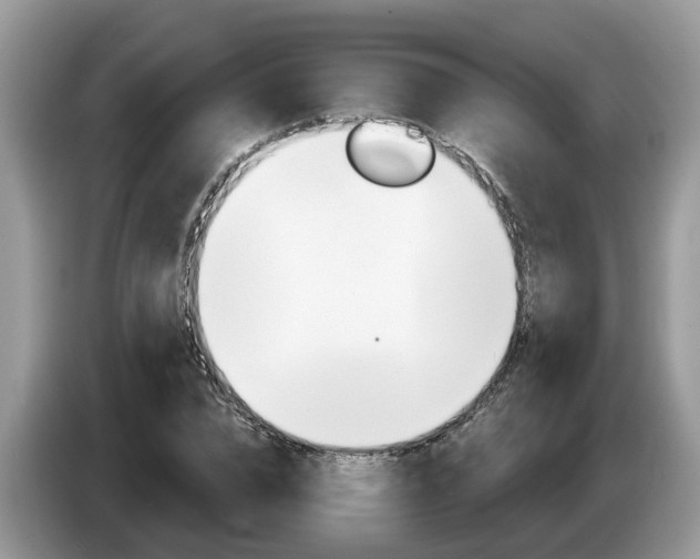 X0000087610832200704271059