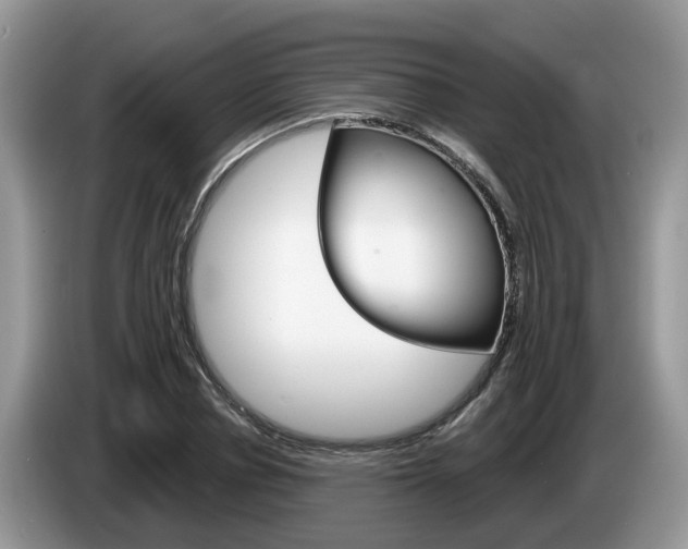 X0000087610834200704271059