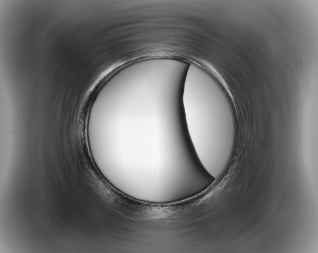 X0000087610835200704271059