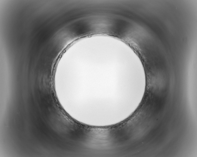 X0000087610836200704271059