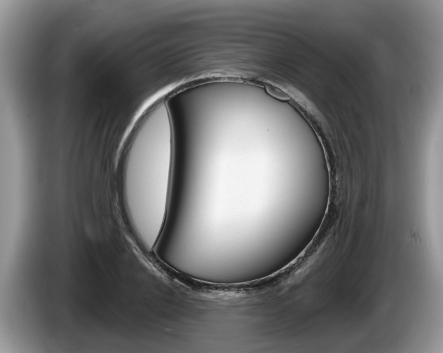X0000087610838200704271059