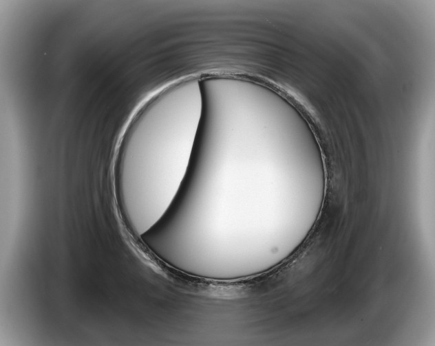 X0000087610840200704271059