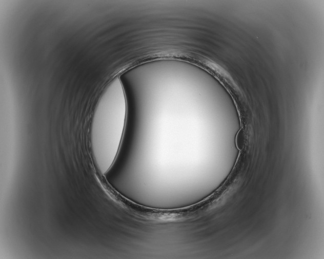 X0000087610841200704271059