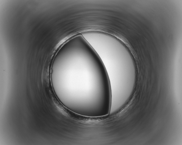 X0000087610842200704271059