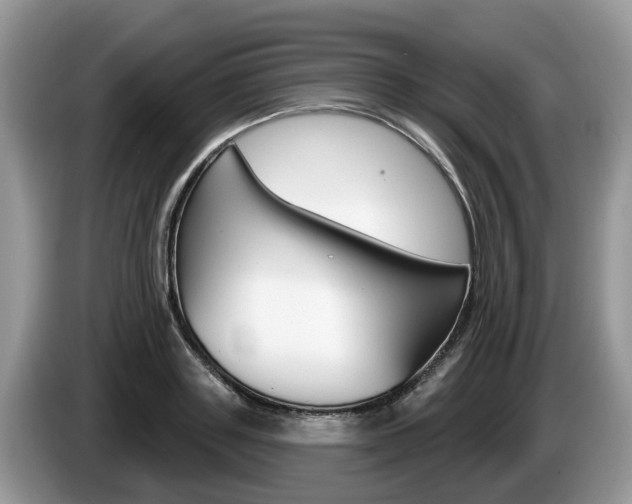 X0000087610843200704271059