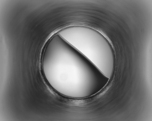 X0000087610845200704271059