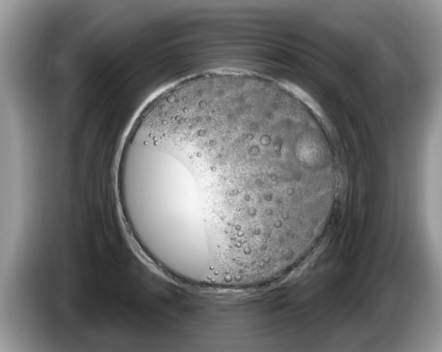 X0000087610848200704271059