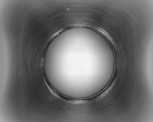 X0000087610849200704271059
