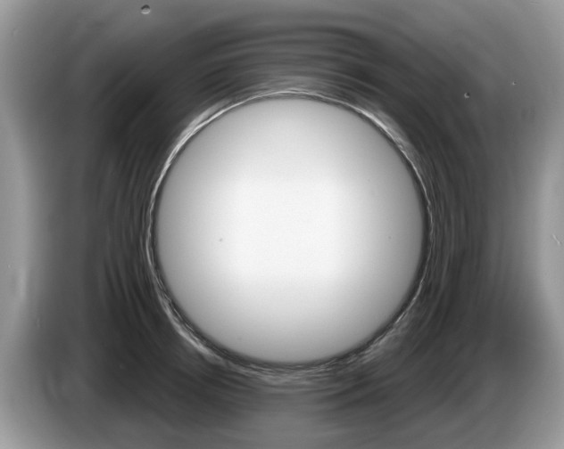 X0000087610850200704271059