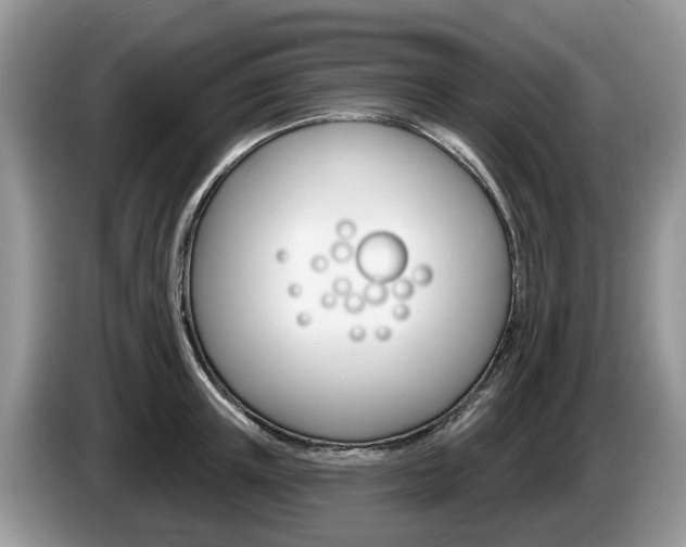 X0000087610851200704271059