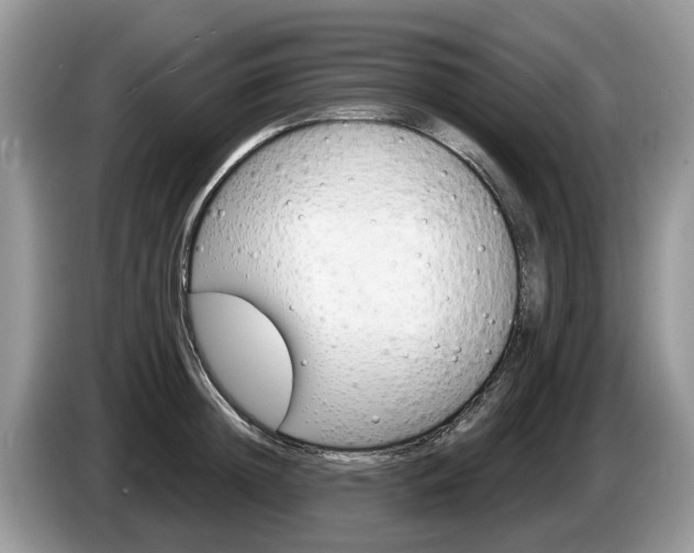X0000087610852200704271059