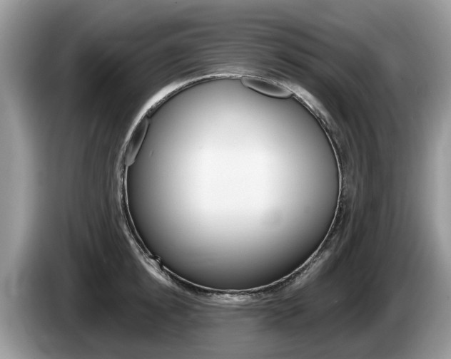 X0000087610854200704271059