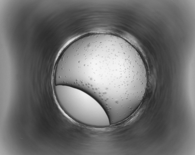 X0000087610855200704271059