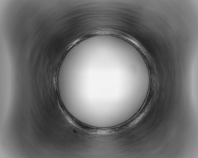 X0000087610857200704271059